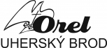 Logo Floorbee 1. AC Orel Uhersk Brod