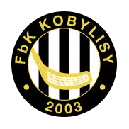 Logo Viking TJ Kobylisy